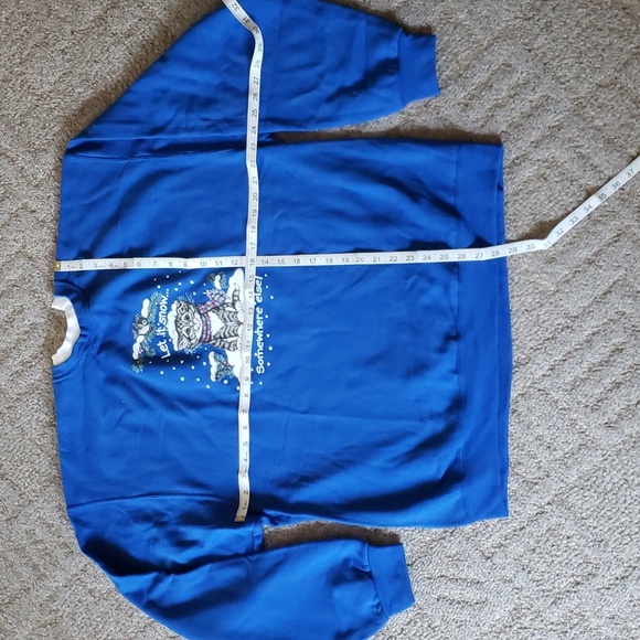New Fleece- lined Blue Sweatshirt, Size XL - Picture 2 of 5